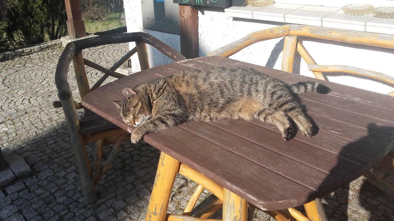 Willa Urocza Hotel Karpacz Kültér fotó